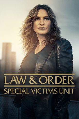 Poster zu Law & Order: Special Victims Unit
