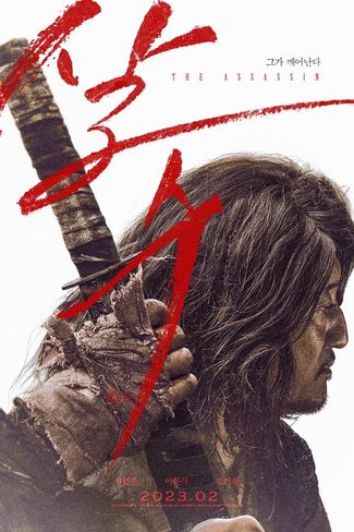 Poster of The Assassin