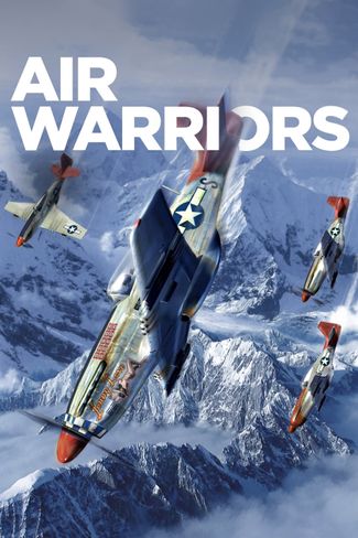 Poster zu Air Warriors