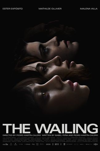 Poster of The Wailing