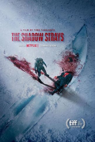 Poster of The Shadow Strays