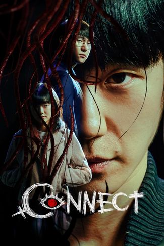 Poster of Connect