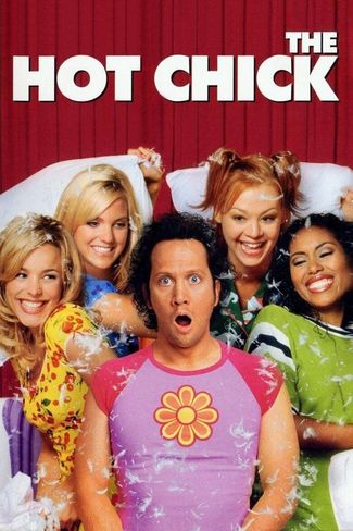 Poster of The Hot Chick