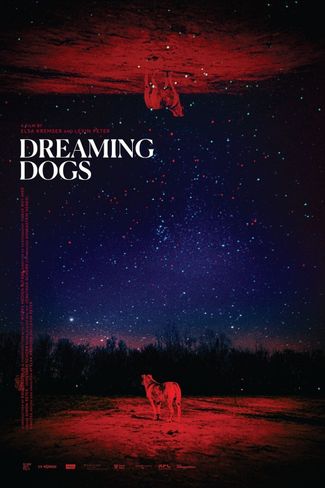 Poster zu Dreaming Dogs