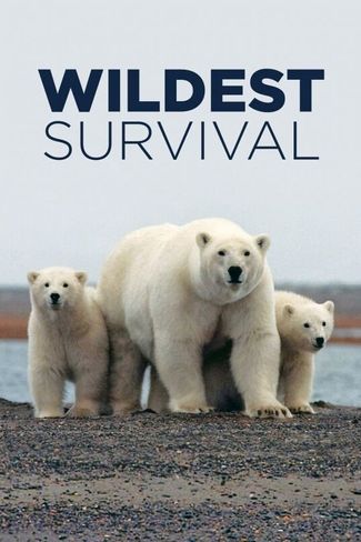 Poster of Wildest Survival