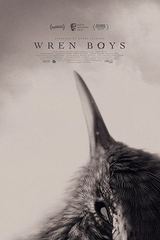 Poster zu Wren Boys