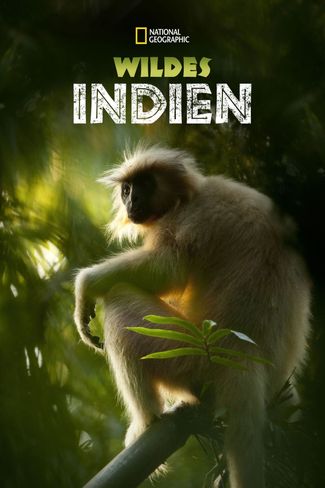 Poster zu Wildes Indien