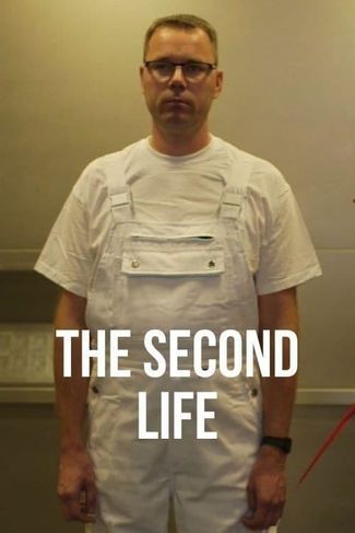 Poster of The Second Life
