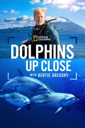 Poster of Dolphins Up Close with Bertie Gregory