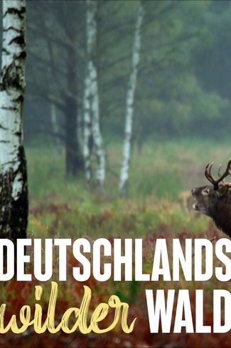 Poster zu Deutschlands wilder Wald