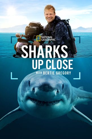 Poster of Sharks Up Close With Bertie Gregory
