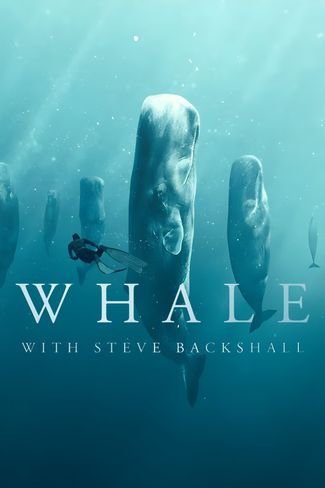Poster zu Wale mit Steve Backshall
