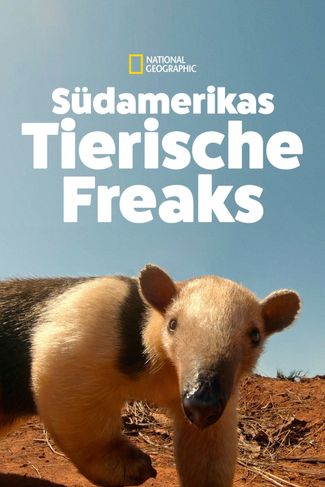 Poster of South America's Weirdest Animals