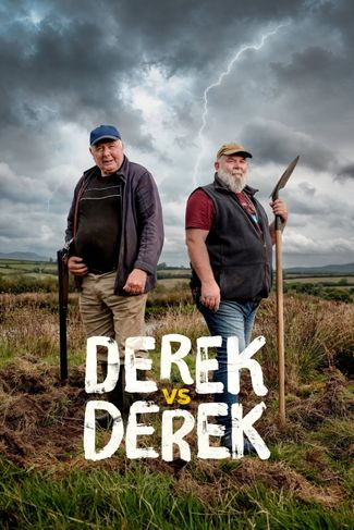 Poster of Derek vs Derek