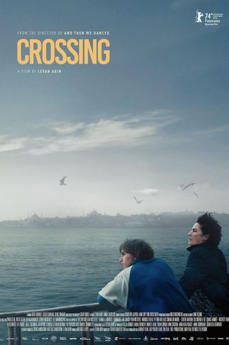 Poster of Crossing