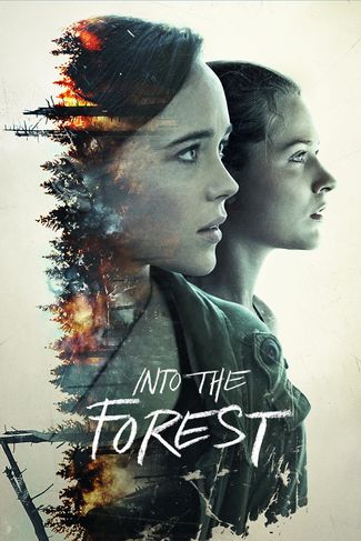 Poster zu Into the Forest