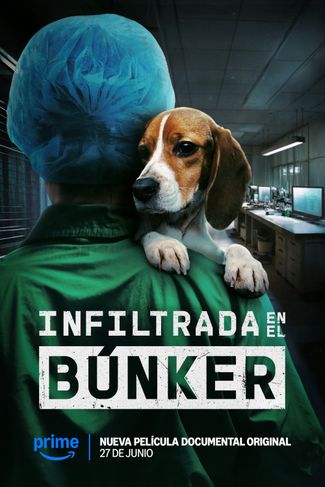 Poster of Infiltrated in the Bunker