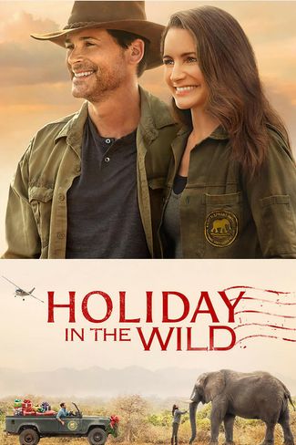Poster of Holiday In The Wild