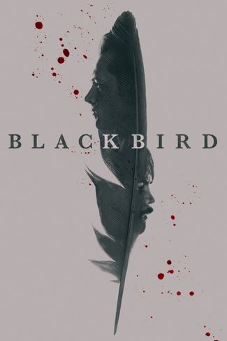 Poster of Black Bird