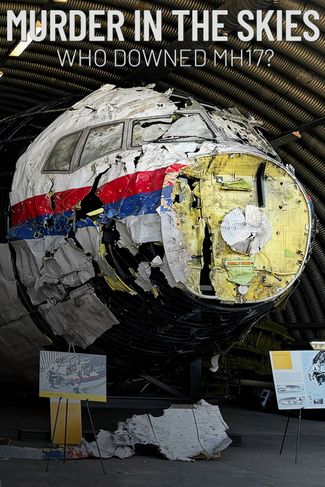 Poster zu Mord am Himmel: Wer hat Flug MH17 abgeschossen?