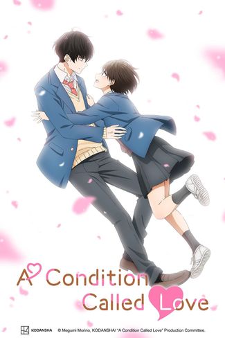 Poster of A Condition Called Love