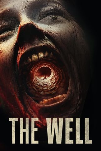 Poster of The Well