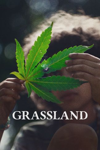 Poster of Grassland