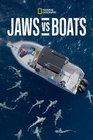 Poster zu Hai vs. Boot