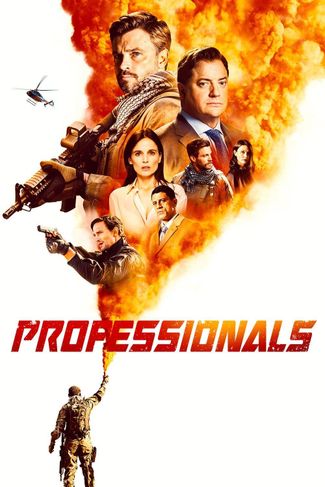 Poster zu The Professionals