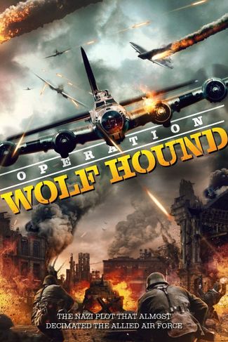 Poster zu Wolf Hound: Luftschlacht über Frankreich