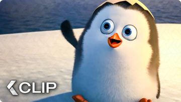 Image of Finding Young Private Movie Clip - Penguins of Madagascar (2014)