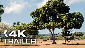 Bild zu SR Trailer German Deutsch (2026)