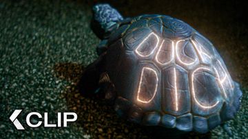 Bild zu Eine Schiildkröte namens Kassiopeia! - Clip