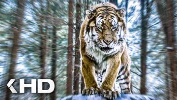 Bild zu Soldaten treffen den Tiger - THE TIGER Clip & Trailer German Deutsch (2022) Exklusiv