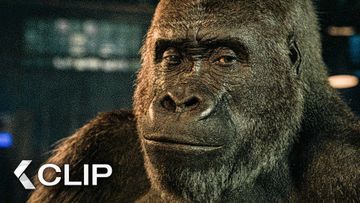 Bild zu Ein Gorilla zeichnet einen Käfer - DER EINZIG WAHRE IVAN Clip & Trailer German Deutsch (2020)