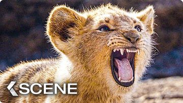Image of Baby Simba practice to Roar Scene - THE LION KING 2019)