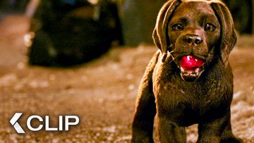 Bild zu Dieser Diebstahl läuft nicht nach Plan! - Clip