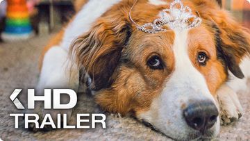 Image of A DOG’S JOURNEY All Clips & Trailers (2019)