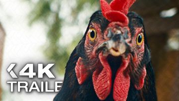 Bild zu LEBENSANSICHTEN EINES HUHNS Trailer German Deutsch (2026)