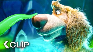 Image of Cute Dog Gets Abducted By Aliens - CHARLIE THE WONDERDOG Clip