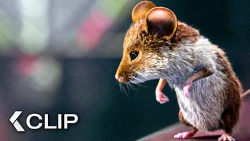 Bild zu Das Chaos beginnt! - Clip