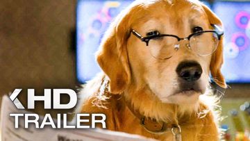 Bild zu CATS & DOGS 3 Trailer German Deutsch (2021)