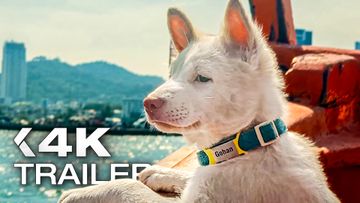 Bild zu GOHAN: Drei Leben auf vier Pfoten Trailer German Deutsch (2026) Exklusiv