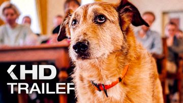 Bild zu HUNDSCHULDIG Trailer German Deutsch (2025)