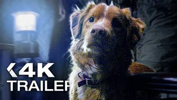 Image of GOOD BOY Official Trailer (2025)