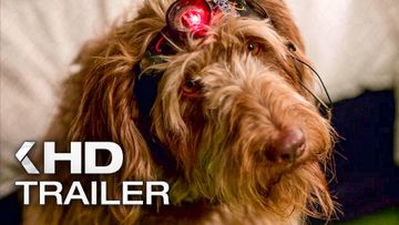 Bild zu THINK LIKE A DOG Trailer (2020)