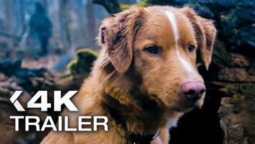 Image of GOOD BOY Official Trailer 2 (2025)