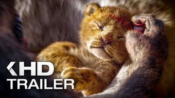 Bild zu Die BESTEN FILME mit TIEREN