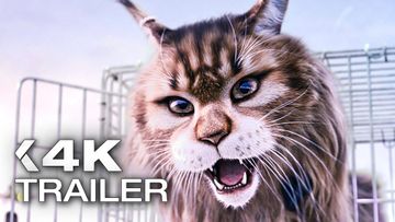 Bild zu MIAU UND WAU Trailer German Deutsch (2025)