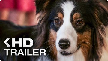 Bild zu SHOW DOGS Trailer German Deutsch (2018)